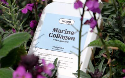 Marine vs Bovine Collagen: What’s Best for Skin, Hair and Joints?