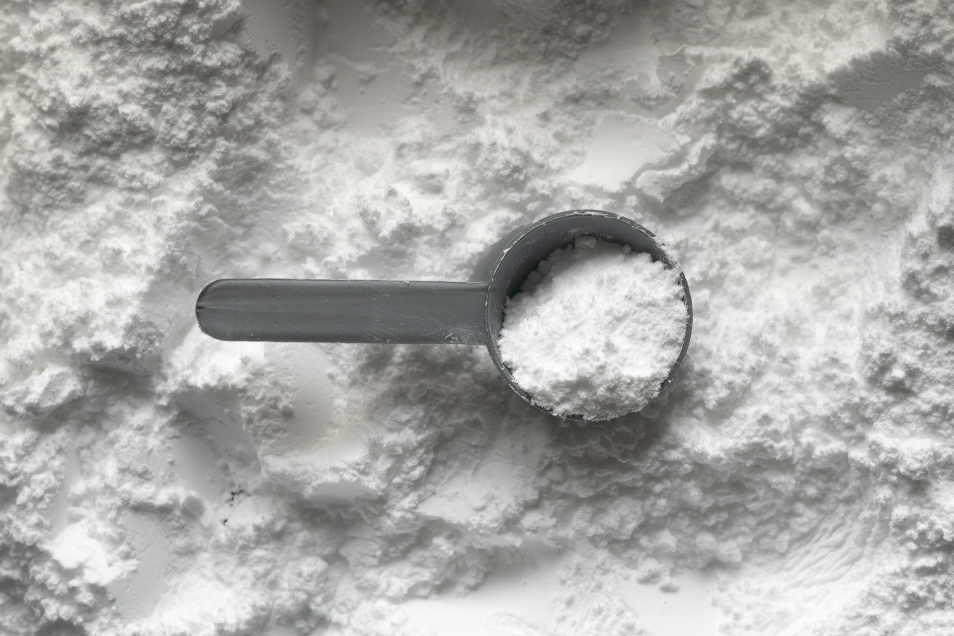 creatine powder scoop of white creatine powder