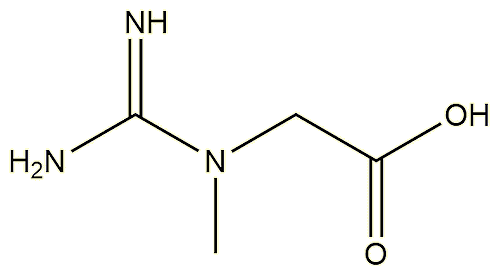 creatine molecule diagram