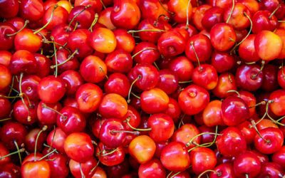 Montmorency Tart Cherries: What They Are & What They’re Good For