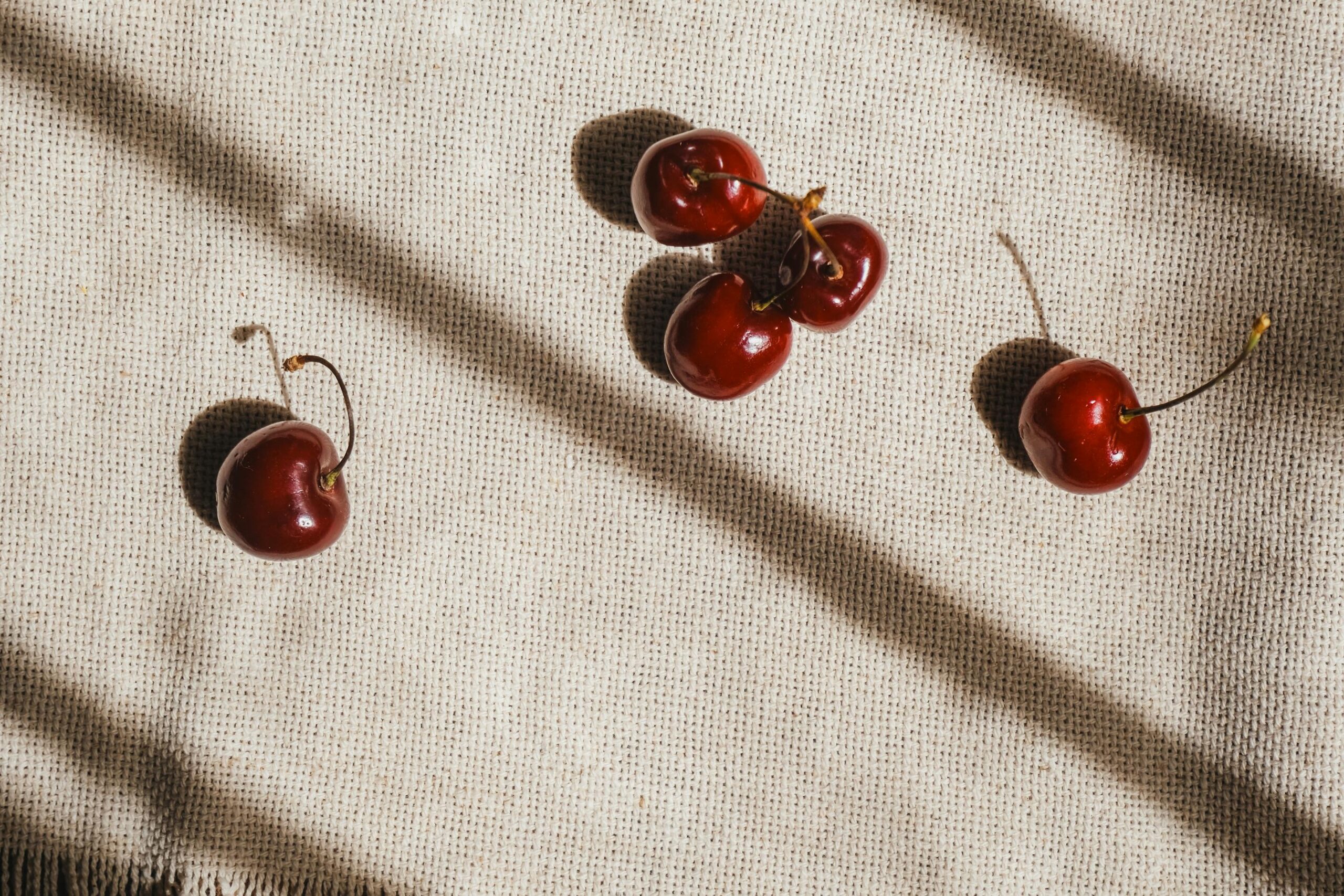 cherries on cloth Tart cherries scattered on a rustic beige cloth, with sunlight and shadows cast across.