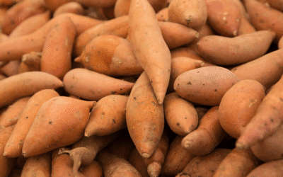 Sweet Potato Superpowers: The Root for Vision, Immunity, and Energy