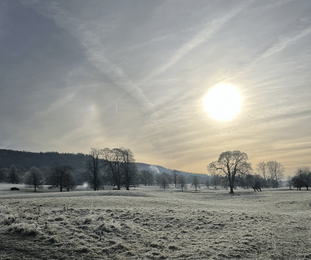 Lanndscape shot of crisp grass and trees with no leaves in the grounds of Chatsworth, Peak District, with low winter sun.