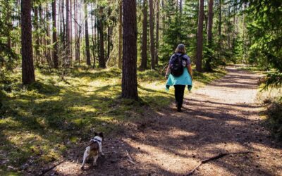 Do you really need 10,000 steps a day?