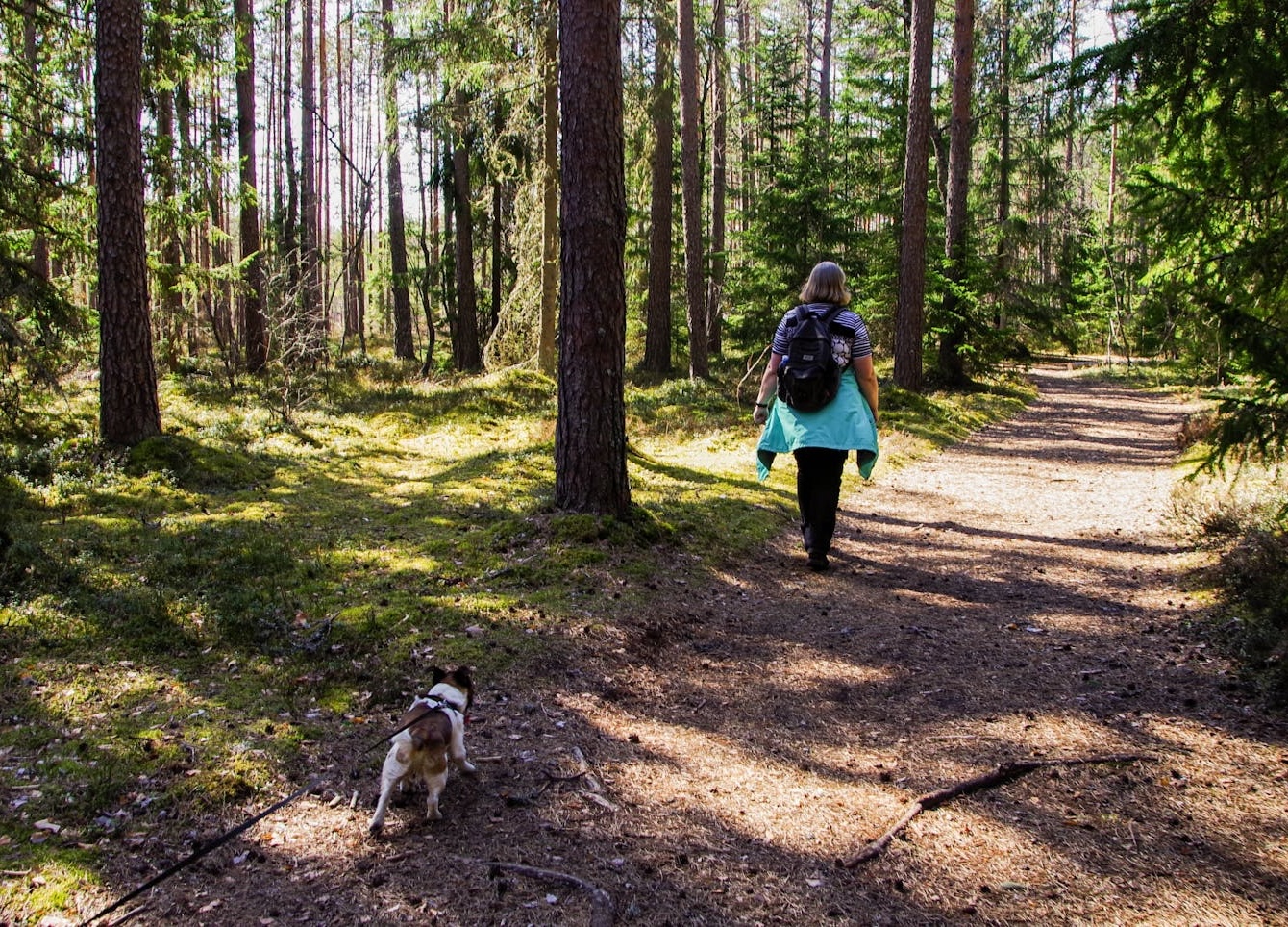 walking in woodland A woman walking along a path in the woods.