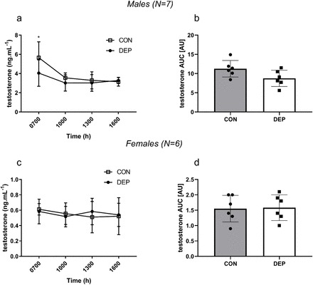 A panel of 4 graphs. Top row is male. bottom row is female. Changes in muscle protein building during the study. Panel A shows how the labelled amino acid was tracked in the blood. Panel B shows muscle protein synthesis in normal sleep versus sleep deprivation. Data are presented as mean ± SD.