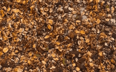 Cacao, Pistachio and Sultana Granola