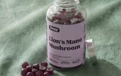 Best Lion’s Mane Supplement UK: 5 Things to Look For Before You Buy