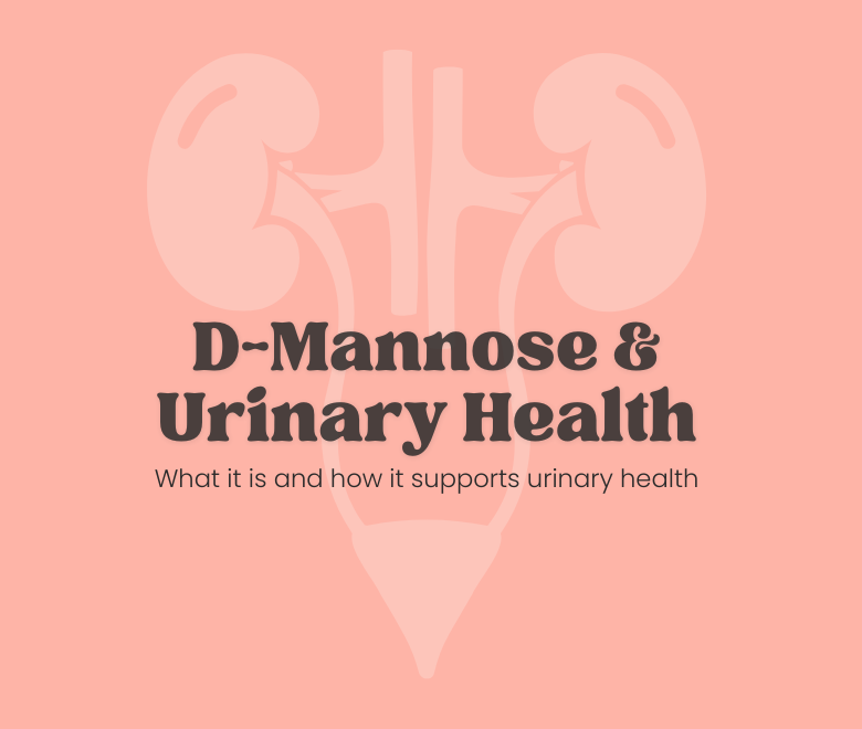 D-mannose and urinary health blog header with a subtle urinary tract illustration on a peach background. What is D-Mannose and how it supports urinary tract.