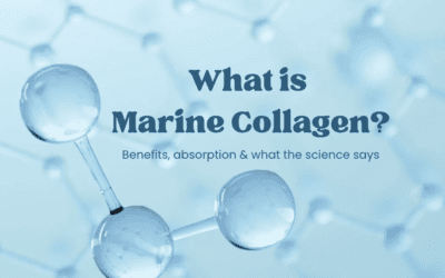 What Is Marine Collagen? Benefits, Uses & Absorption Explained
