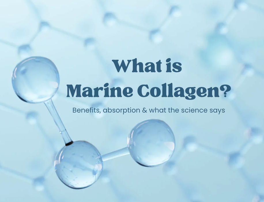 What is Marine Collagen – benefits, absorption & what the science says Illustration of collagen molecules with text reading “What is Marine Collagen? Benefits, absorption and what the science says”.