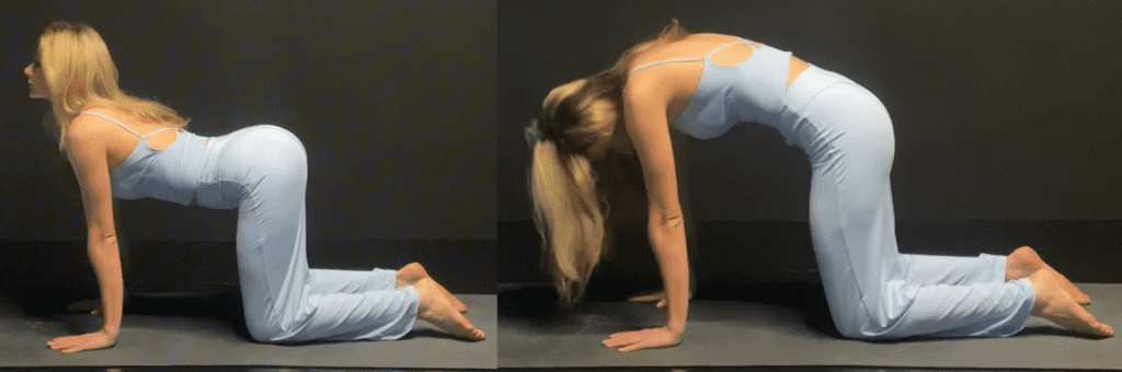 A woman performing cat / cow yoga pose on a yoga mat