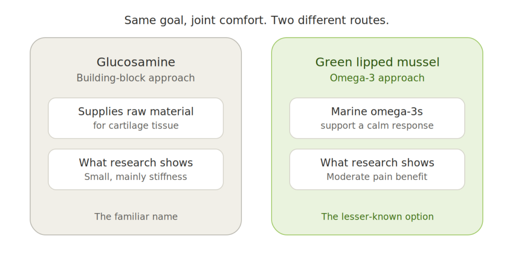 Diagram comparing Green lipped mussel vs glucosamine, showing glucosamine as a building-block approach and green lipped mussel as an omega-3 approach for joint comfort.